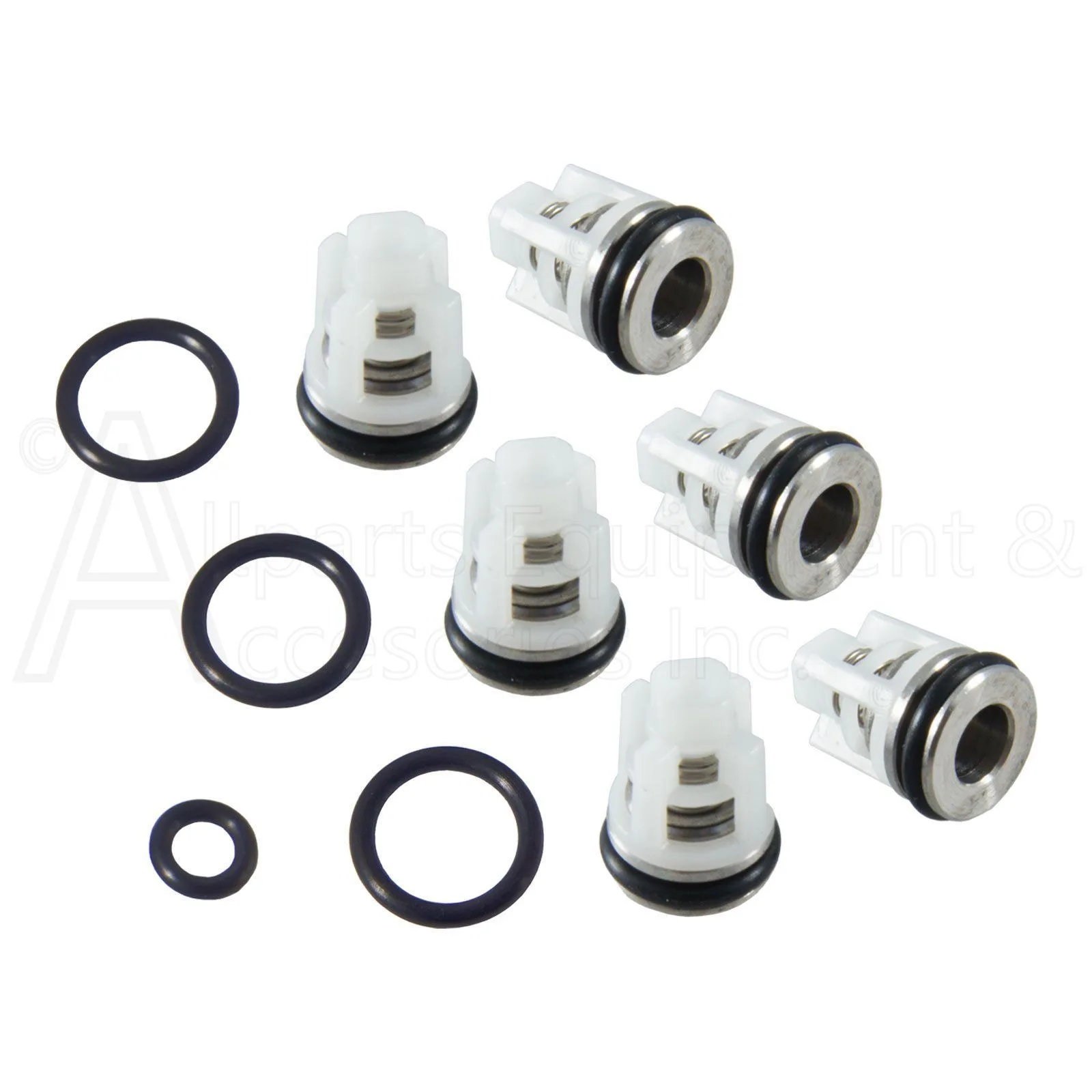 VALVE REPAIR KIT SET OF 6 VALVES WITH O-RINGS product image
