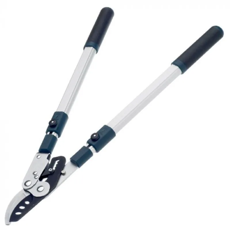 Bulldog Evergreen Compound Lopper Extending Handles 67-100 Inch product image