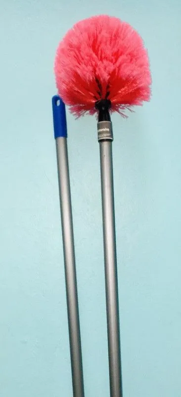 Cobweb Broom Matarana La Palma Real product image